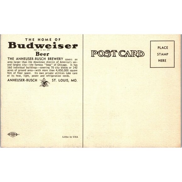 Postcard, Vintage,Budweiser Brewery, Chicago, Advert, Beer - Picture 2 of 2